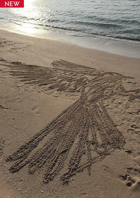 Etchings on Sand